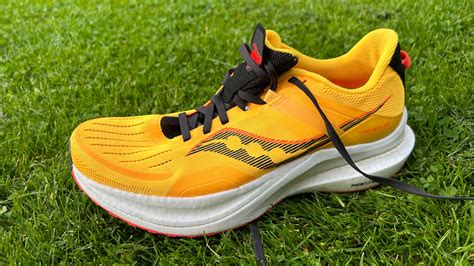 stability running shoes review